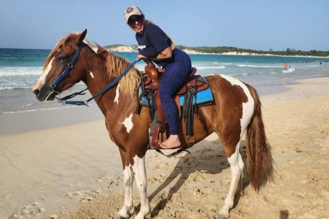 2-Hour Horseback Riding Tour at Sunset from Punta Cana - The guides and the horses