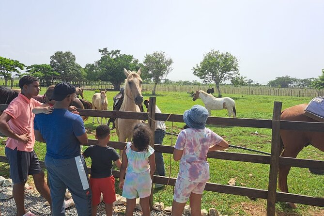 2-Hour Horseback Riding Tour at Sunset from Punta Cana - Who should book this ride?