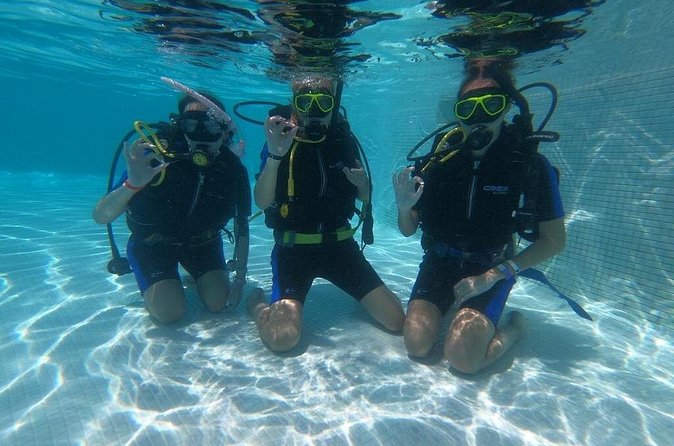 3 Days Open Water Diving Course in Punta Cana - Reef sites offer the easiest visual reward