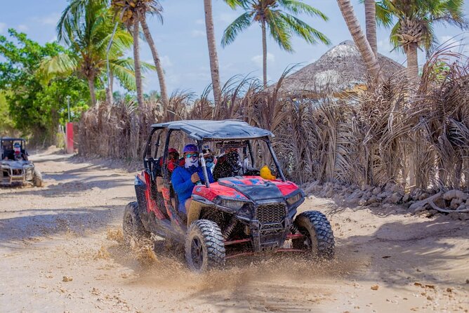 3-Hour Extreme Buggy Tour of Punta Cana - Is $45 a good value?