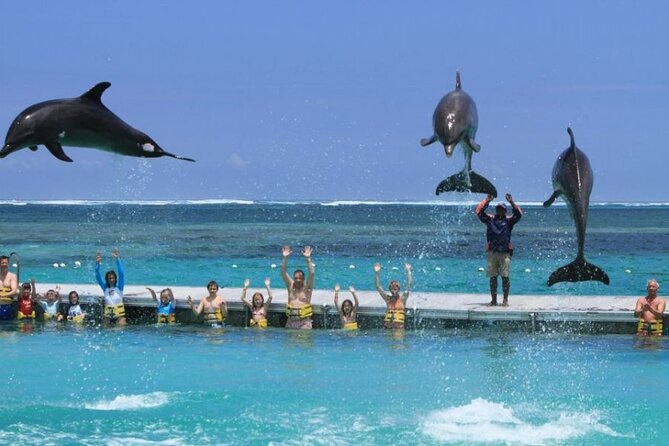 3 hrs Glass Boat Tour in Punta Cana - Pickup is the biggest practical concern