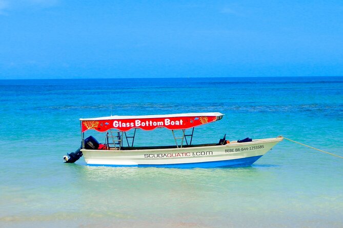 3 hrs Glass Boat Tour in Punta Cana - Is $55 a fair price?