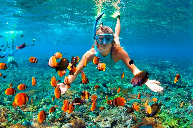 3 hrs Glass Boat Tour in Punta Cana - Who will enjoy this most