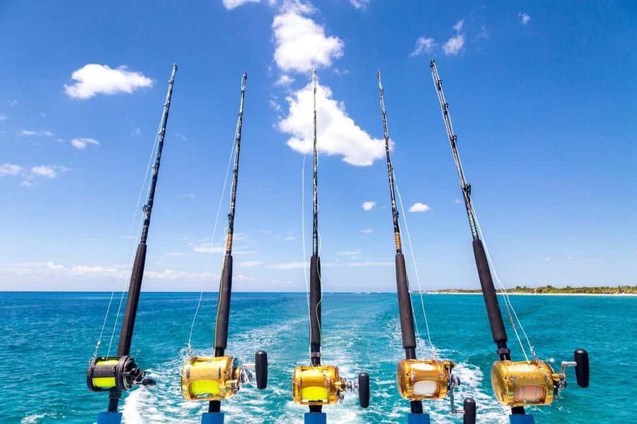 4 hour deep sea fishing experience from punta cana - Key points to know before booking