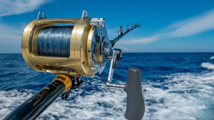 4 hour deep sea fishing experience from punta cana - Four hours of trolling off Cabeza de Toro