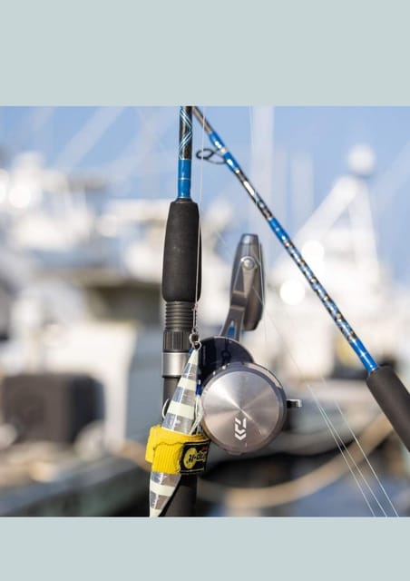 4 hour deep sea fishing experience from punta cana - Who should book this excursion?