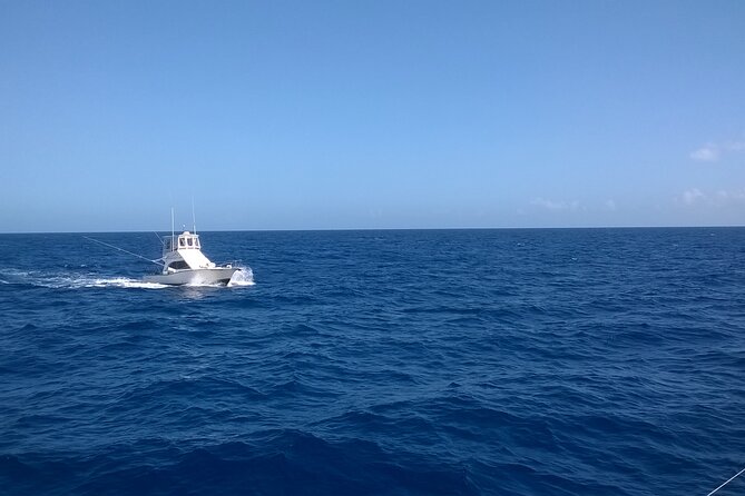 4 Hour Punta Cana Fishing Tour - What the four-hour Atlantic trip is really like
