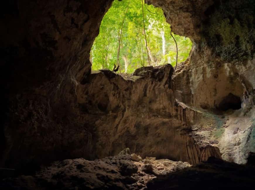 4in1: Los Haitises+ Kayaking+ Natural Pools+ Montana Redonda - Kayaking through the park’s narrow channels