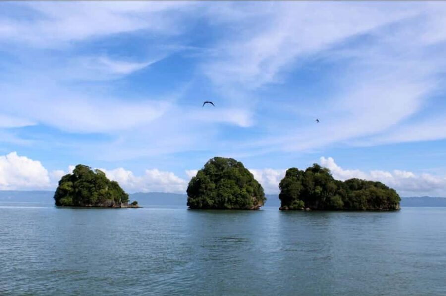 4in1: Los Haitises+ Kayaking+ Natural Pools+ Montana Redonda - The guide can shape the whole day