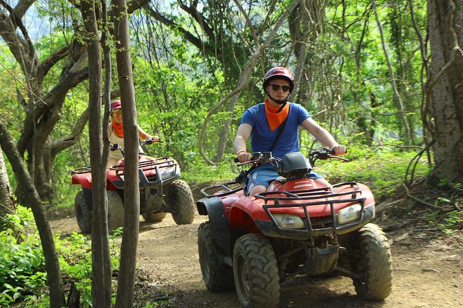 4x4 Dominican Adventure with Chocolate and Coffee Tasting - The coffee, cocoa, tea, and rum stop