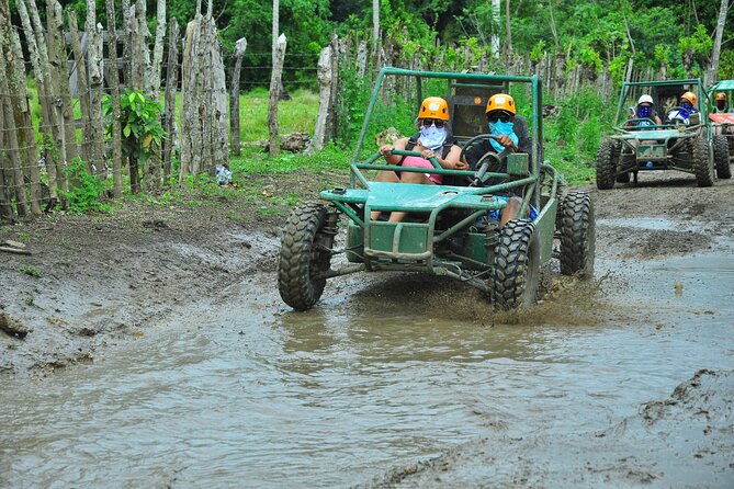 5 tours in 1 (Eco Farm/Horseback/City Tour/Buggy/Zipline) - What this $119.99 day is really offering