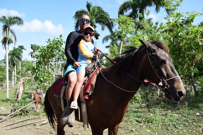 5 tours in 1 (Eco Farm/Horseback/City Tour/Buggy/Zipline) - Zip lines, towers, and the Anamuya views