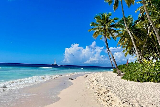 A Magical Day on Saona Island - Why Saona makes a strong Punta Cana day trip