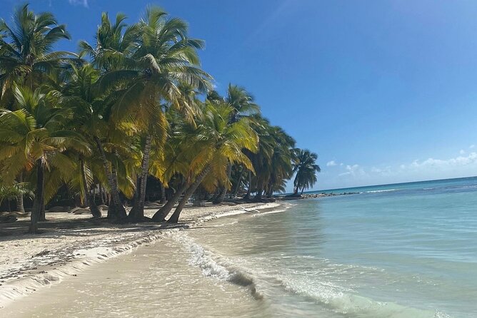A Magical Day on Saona Island - Three hours on Saona Island