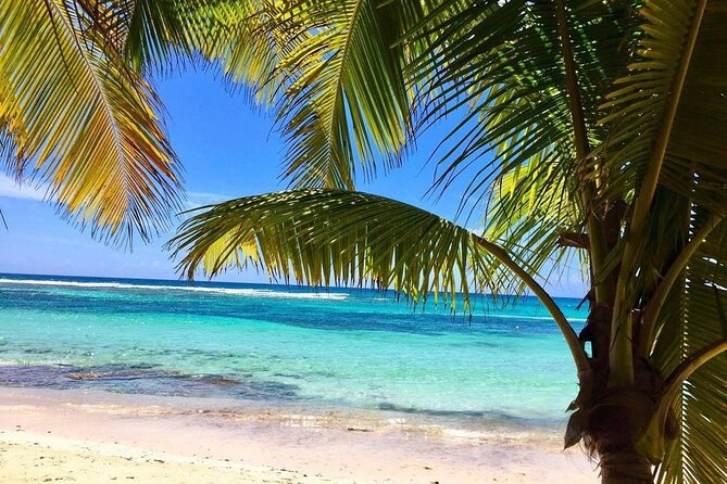 A Magical Day on Saona Island - Dominican buffet lunch and open bar
