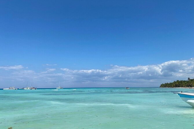 A Magical Day on Saona Island - What $76.50 buys you