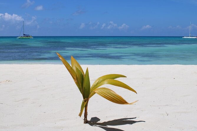 A Magical Day on Saona Island - Who should book this island outing