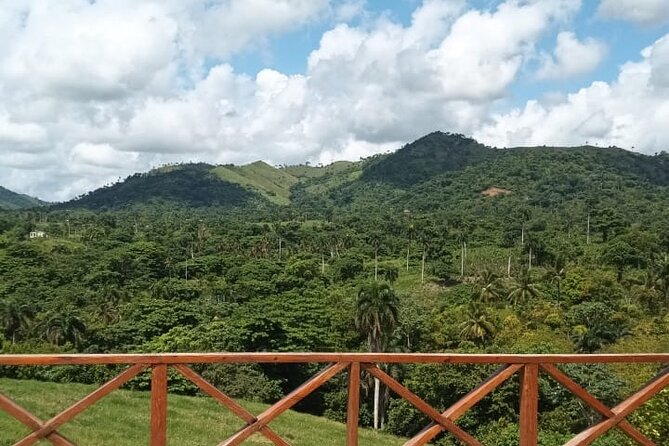 Adrenaline Total: Zipline Tour in Punta Cana - How the value compares with the $78 price