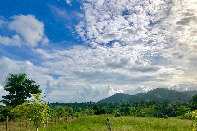 Adventure Bundle: Monkeyland, Ziplines & Buggies Punta Cana - Buggies, Mud, and the Anamuya River