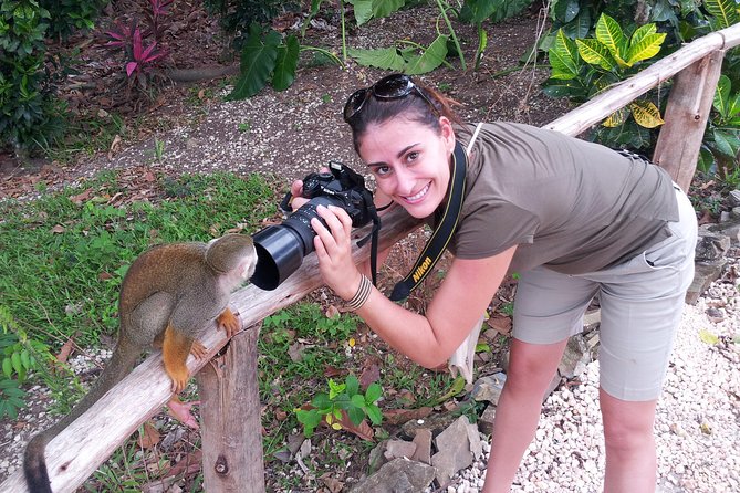Adventure Bundle: Monkeyland, Ziplines & Buggies Punta Cana - Timing, Transport, and Group Pace