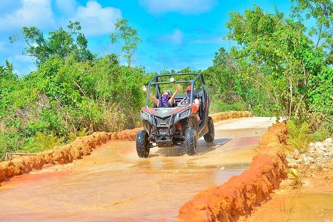 Adventure Tour con Buggies Ziplining Cenote y Taino Culture - Zip lines above the park