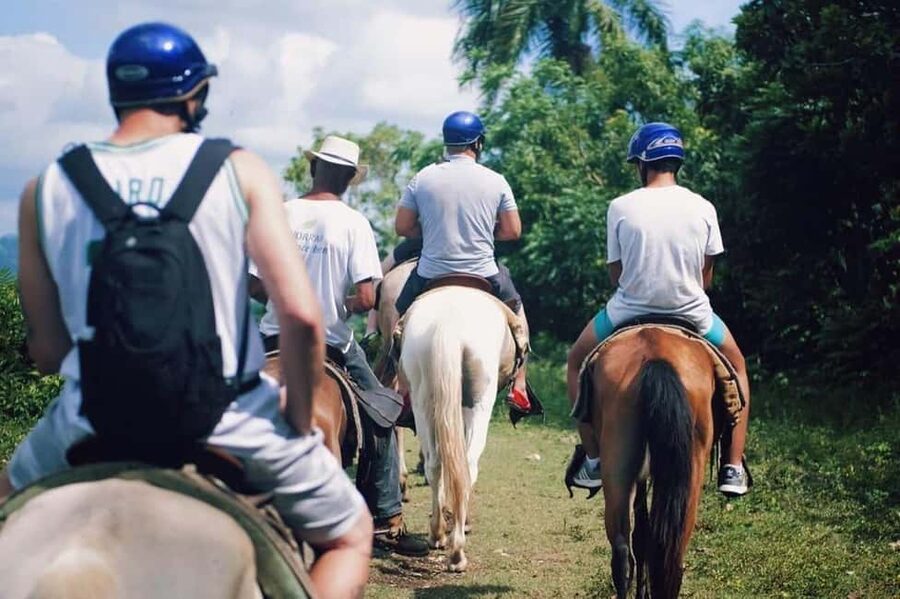 All-Inclusive Day Trip from Punta Cana: DR Culture Immersion - Key points at a glance