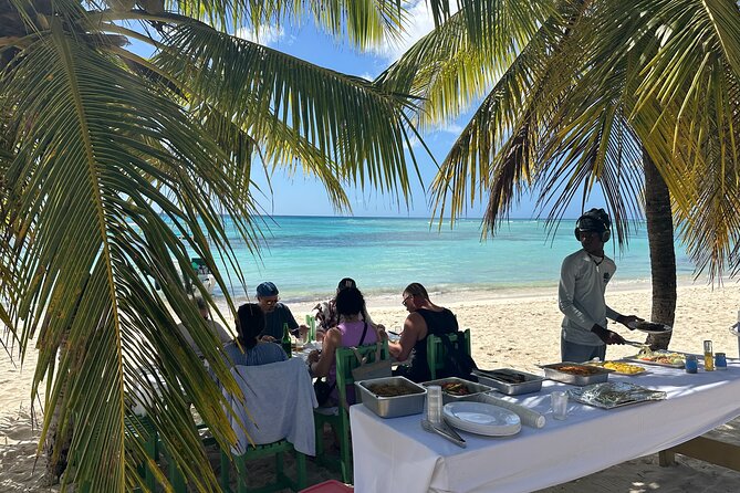All Inclusive Saona Private Boat Tour from 165 USD p/P - What the guides add to the day