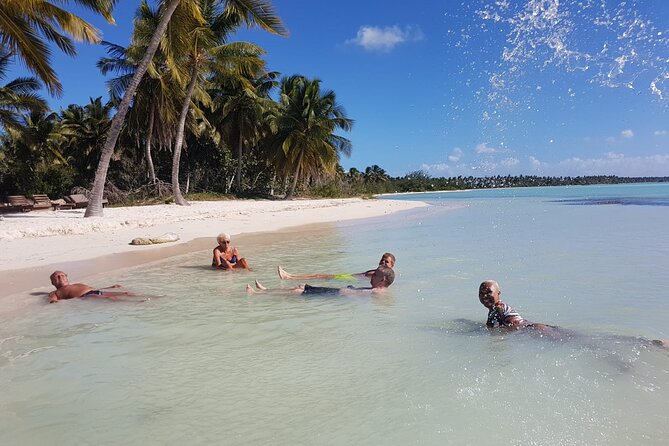 All Inclusive Saona Private Boat Tour from 165 USD p/P - Saona Island by private boat