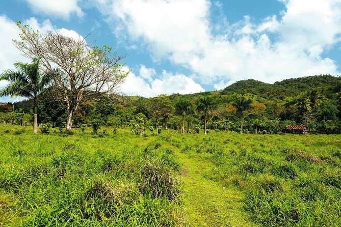 Anamuya Mountains Small Group Walking Tour - Maimon: farms, forest, and a closer look at local life