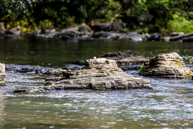 Anamuya Mountains Small Group Walking Tour - Watching for birds, plants, and wildlife