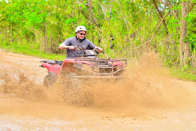 ATV OR BUGGY Ride Into the jungle with cave coffee & chocolate - Is $55 a fair price?