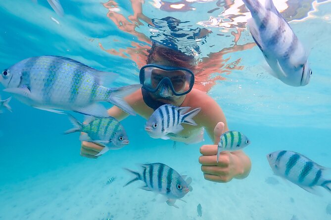 Bacardi Island Excursion with Catamaran, Beach and Lunch - What makes this day worth considering