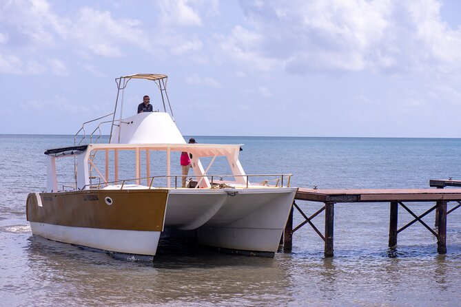 Bacardi Island Excursion with Catamaran, Beach and Lunch - Buffet lunch and drinks