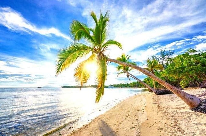 Barceló Bávaro Palace - Round Trip Shuttle - Punta Cana Airport - The return trip requires a little planning