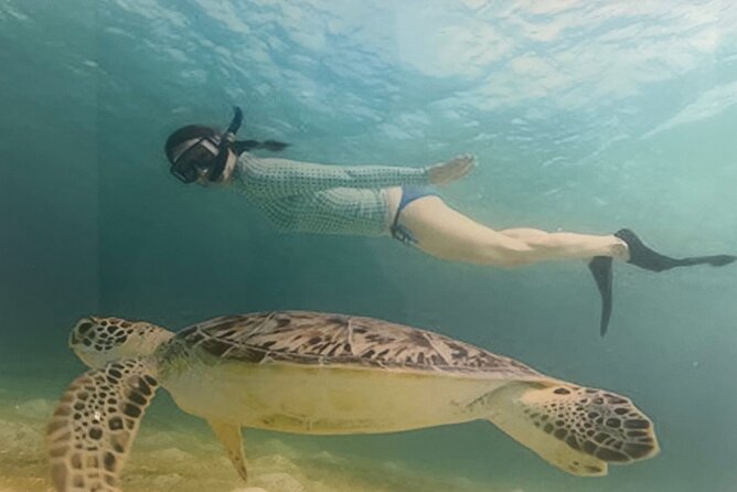 Bavaro Punta Cana EN boat party with drinks and transportation - Two hours in the shallow natural pool