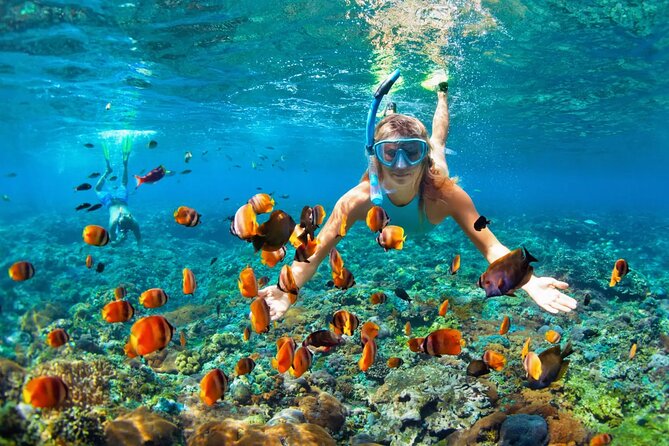 Bavaro Punta Cana EN boat party with drinks and transportation - Music, animation, and the people who shape the mood