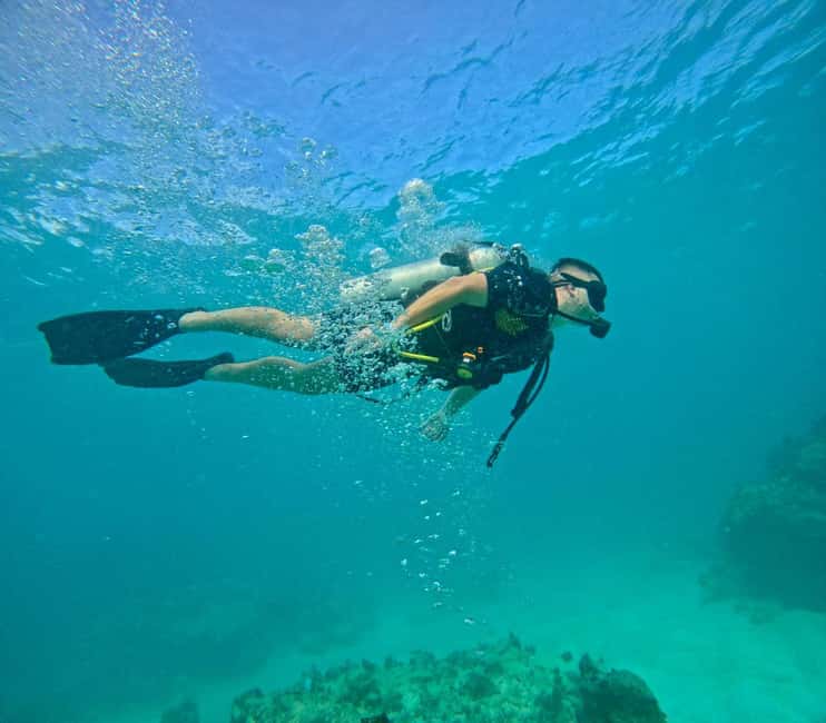 Bávaro: Scuba Diving Experience for Beginners - What this 3.5-hour Punta Cana experience really offers