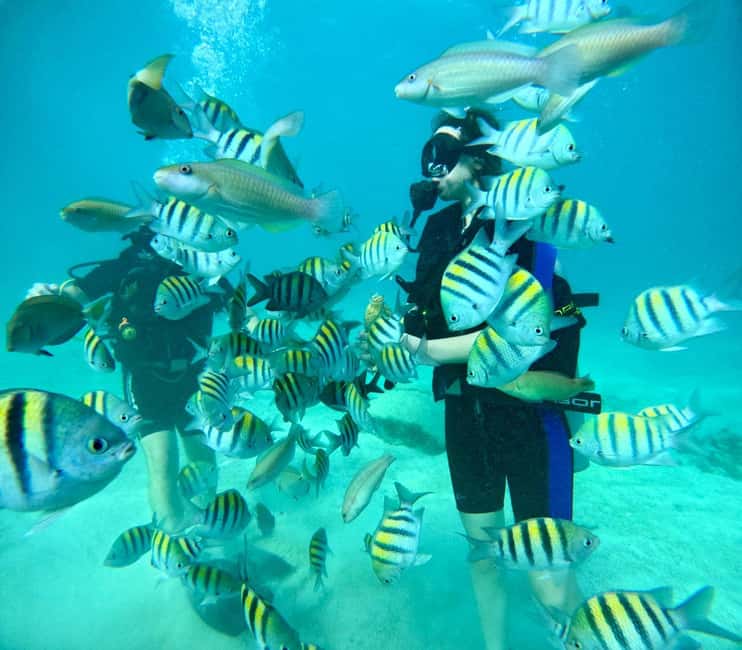 Bávaro: Scuba Diving Experience for Beginners - Leaving Bávaro for the coast