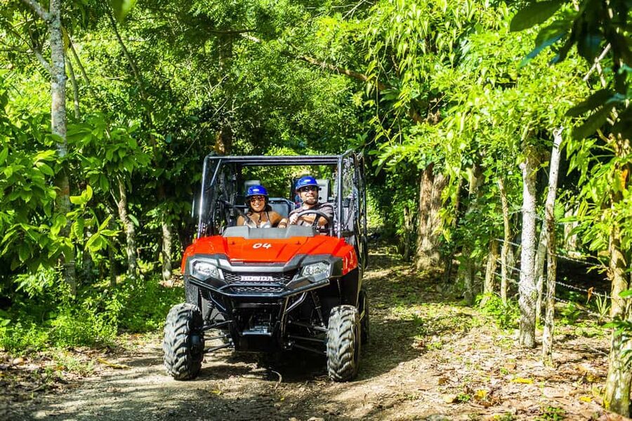 Bayahibe/La Romana: 4x4 Buggy and Monkeyland Tour - Key Points Before You Book