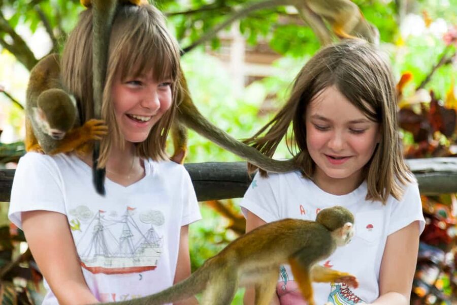 Bayahibe/La Romana: 4x4 Buggy and Monkeyland Tour - Monkeyland Is the Main Event