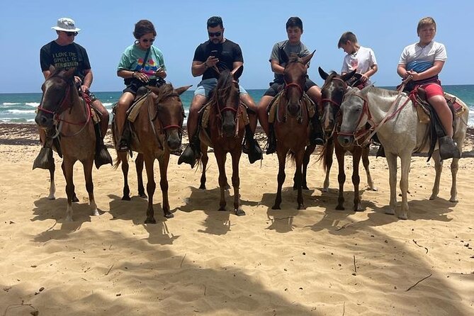 Beach Horseback Ride Tour at Punta Cana - Heat, rain, and the beach conditions