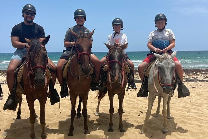 Beach Horseback Ride Tour at Punta Cana - Families, beginners, and riders with mobility needs