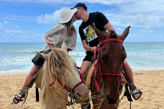 Beach Horseback Ride Tour at Punta Cana - What happens from arrival to the Maimon River