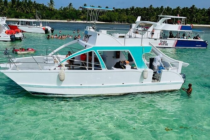 Boat Party with Drinks and Snacks with Transportation Included - Watching dolphins near Bavaro Beach
