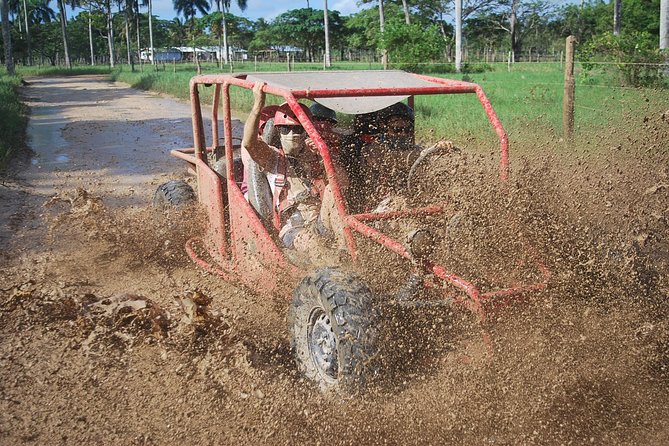 Buggies Experience From Punta Cana - Key points to know before you book
