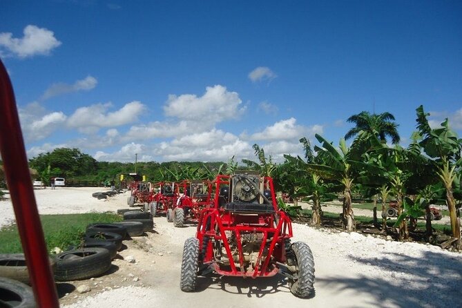 Buggies Half Day Experience and Cenote - Swimming in Macao Cave cenote