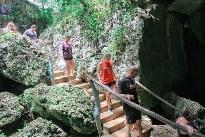 Buggies Half Day Experience and Cenote - The real value of the $75 price