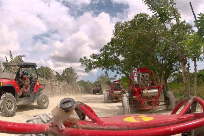 Buggies Punta Cana Macao - Quick facts about the Macao buggy ride
