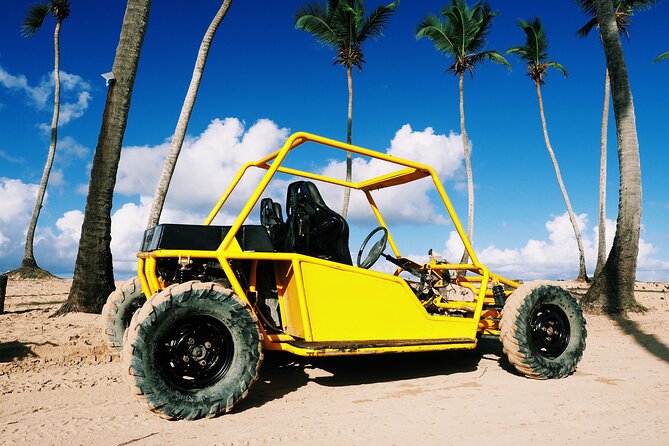 Buggy Adventure: Macao Beach & Cenote Experience - Through forests, rustic towns, and Dominican countryside