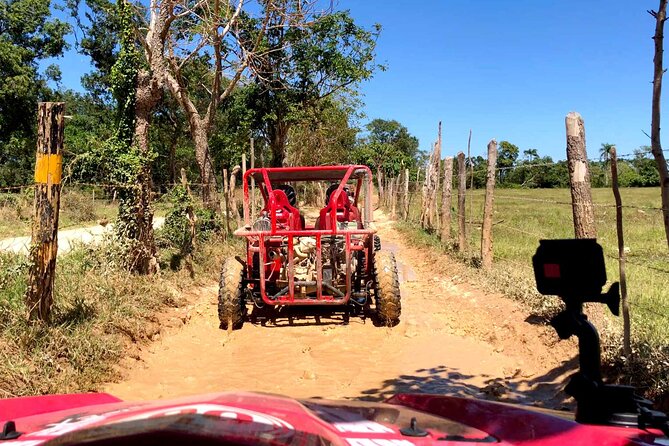 Buggy Adventure: Macao Beach & Cenote Experience - A cold swim at Cenote Taina
